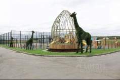 Цена на участок 5.0 соток , фотография 1