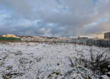 Купить участок 11.5 соток , фотография 6