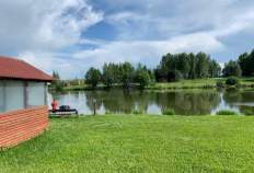 Купить участок 9.6 соток Московская область, Домодедово, Московская обл., Домодедово, территория КП Данилово парк, 211 Покупка участок 9.6 соток , фотография 3