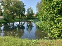 Продажа недвижимости Московская область, Чехов муниципальный округ, д. Прохорово, Эдем кп, Цена на участок 17.0 соток , фотография 1