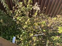 Покупка дом на участке  соток , фотография 3