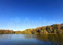 Покупка участок 9.9 соток , фотография 3