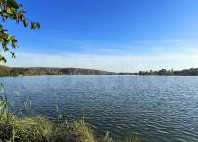 Купить участок 9.9 соток , фотография 8