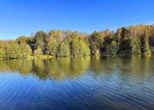 Купить участок 8.0 соток , фотография 5