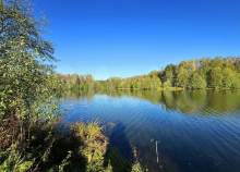 Купить участок 6.0 соток , фотография 6