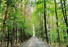 Купить дом на участке  соток , фотография 5