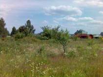 Куплю участок 10.0 соток , фотография обложки