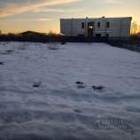 Купить участок 800.0 соток Московская область, Домодедово, КП Рэд тер., 57 Купить участок 800.0 соток , фотография 5