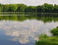 Купить участок 800.0 соток Московская область, Домодедово, КП Рэд тер., 57 Купить участок 800.0 соток , фотография 8