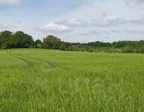 Купить участок 800.0 соток Московская область, Домодедово, КП Рэд тер., 57 Купить участок 800.0 соток , фотография 9