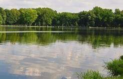 Купить участок 800.0 соток , фотография 7