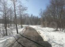 Куплю участок 10.0 соток , фотография 4