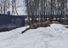 Куплю участок 8.6 соток , фотография обложки