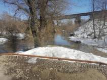 Продать участок 10.0 соток , фотография 2