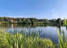 Покупка участок 9.9 соток , фотография 3