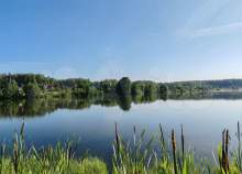 Купить участок 9.9 соток , фотография 9