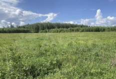 Купить участок 144.0 соток , фотография 8