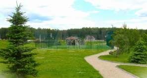 Купить участок 12.0 соток , фотография 8