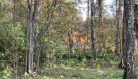 Покупка участок 15.5 соток , фотография 3