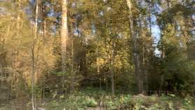 Куплю участок 15.5 соток , фотография 4