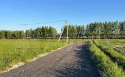 Купить участок 8.6 соток Московская область, Чехов, Московская обл., муниципальный округ Чехов, территория Дачная Купить участок 8.6 соток , фотография 9