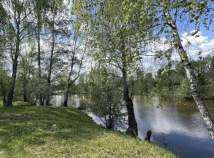 Купить участок 9.0 соток , фотография 9