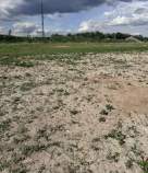 Куплю участок 60.0 соток , фотография 4