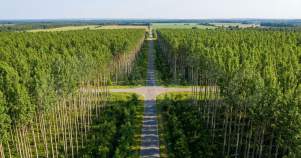 Цена на участок 7.0 соток , фотография 1