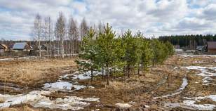 Купить участок 7.0 соток , фотография 7