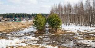 Купить участок 15.0 соток , фотография 6