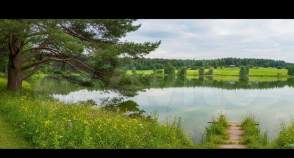 Купить участок 13.0 соток Московская область, Домодедово, Московская обл., г.о. Домодедово, с. Битягово Покупка участок 13.0 соток , фотография 3