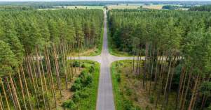 Купить участок 13.0 соток Московская область, Домодедово, Московская обл., г.о. Домодедово, с. Битягово Купить участок 13.0 соток , фотография 7