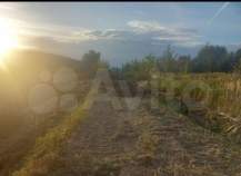 Продать участок 98.0 соток , фотография 2