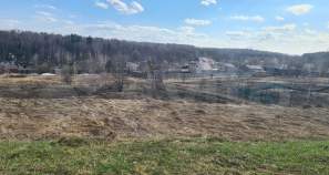 Продажа недвижимости Московская область, Чехов, Московская обл., муниципальный округ Чехов, д. Манушкино, Речная ул. Цена на участок 84.0 соток , фотография 1