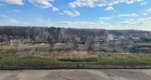 Продать участок 84.0 соток Московская область, Чехов, Московская обл., муниципальный округ Чехов, д. Манушкино, Речная ул. Продать участок 84.0 соток , фотография 2