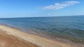 Фотография Участок, 10 сот., поселения (ижс), Чехов, Вишнёвый бульвар Куплю участок 10.0 соток , фотография обложки