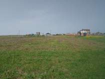 Купить участок 10.0 соток Московская область, Чехов, Чехов, Вишнёвый бульвар Покупка участок 10.0 соток , фотография 3