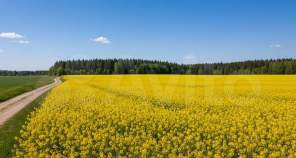 Куплю участок 14.9 соток , фотография обложки