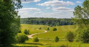 Куплю участок 14.9 соток , фотография 4