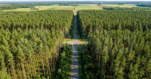 Купить участок 14.9 соток , фотография 8