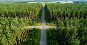 Цена на участок 10.0 соток , фотография 1