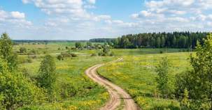 Куплю участок 10.0 соток , фотография 4