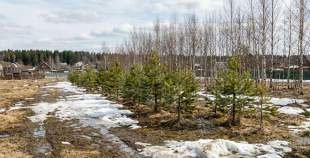 Купить участок 10.0 соток , фотография 8