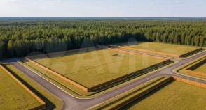 Купить участок 18.0 соток Московская область, Домодедово, Московская обл., г.о. Домодедово, с. Ям Купить участок 18.0 соток , фотография 9