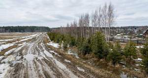 Купить участок 16.0 соток , фотография 7