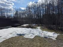 Куплю участок 25.0 соток , фотография 4