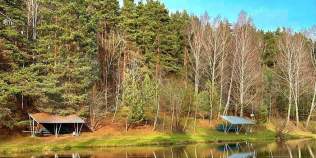 Куплю участок 12.0 соток , фотография 4