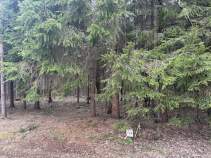 Фотография Участок, 30 сот., 0, Московская область, городской округ Серпухов, «Крым» Куплю участок 30.0 соток , фотография обложки