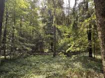 Продать участок 30.0 соток Московская область, Серпухов, Московская область, городской округ Серпухов, «Крым» Продать участок 30.0 соток , фотография 2