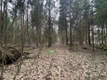 Цена на участок 30.0 соток , фотография 1